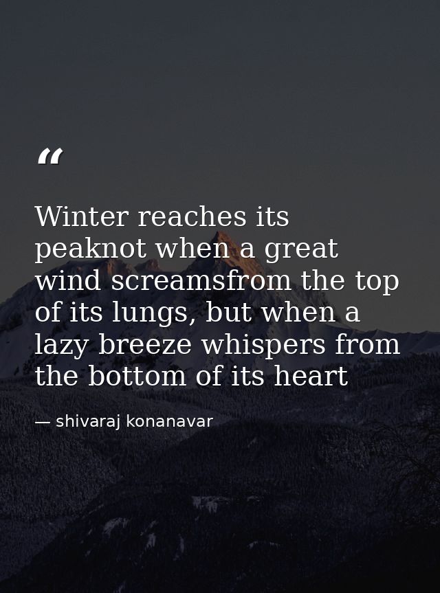 Winter reaches its peaknot when a great wind screamsfrom the top of its lungs, but when a lazy breeze whispers from the  — shivaraj konanavar