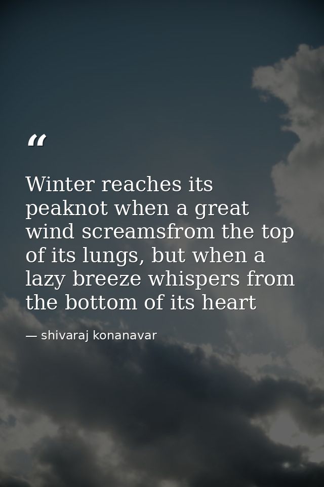 Winter reaches its peaknot when a great wind screamsfrom the top of its lungs, but when a lazy breeze whispers from the  — shivaraj konanavar