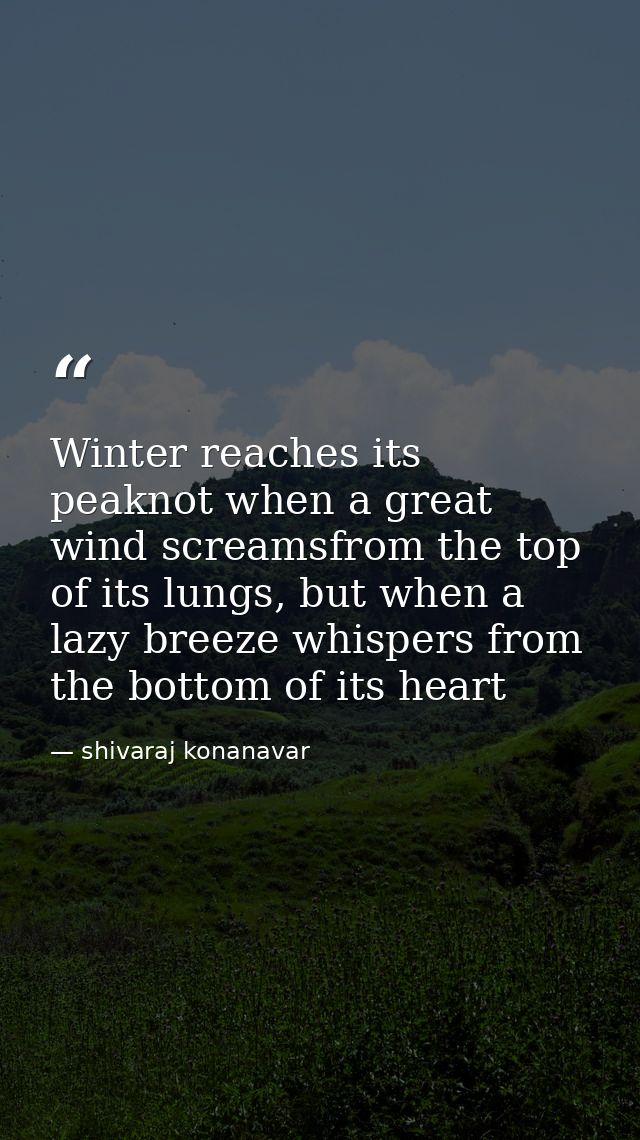 Winter reaches its peaknot when a great wind screamsfrom the top of its lungs, but when a lazy breeze whispers from the  — shivaraj konanavar