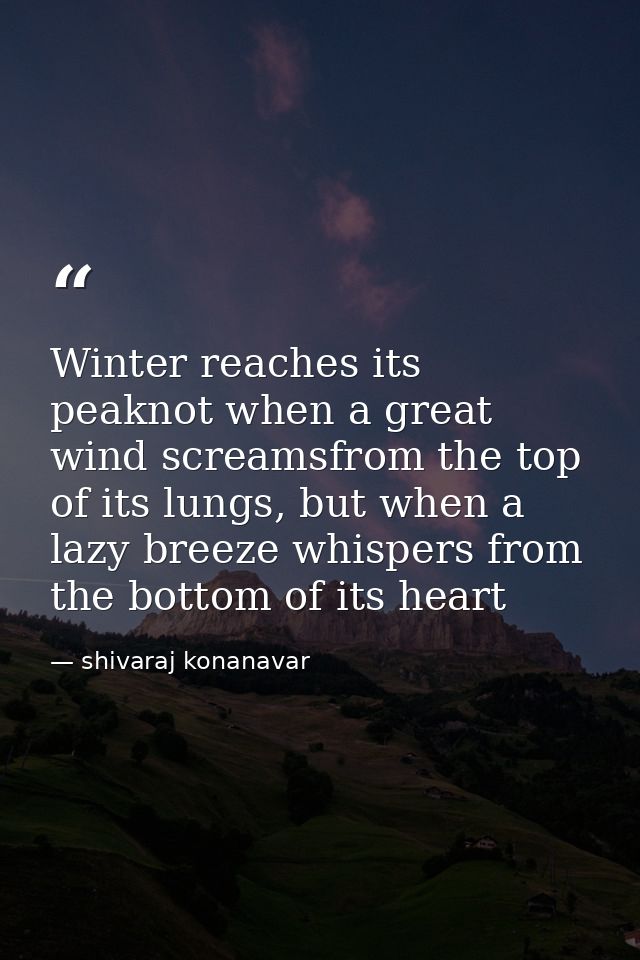 Winter reaches its peaknot when a great wind screamsfrom the top of its lungs, but when a lazy breeze whispers from the  — shivaraj konanavar