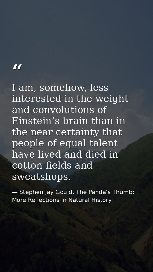 I am, somehow, less interested in the weight and convolutions of Einstein’s brain than in the near certainty that people — Stephen Jay Gould, The Panda's Thumb: More Reflections in Natural History