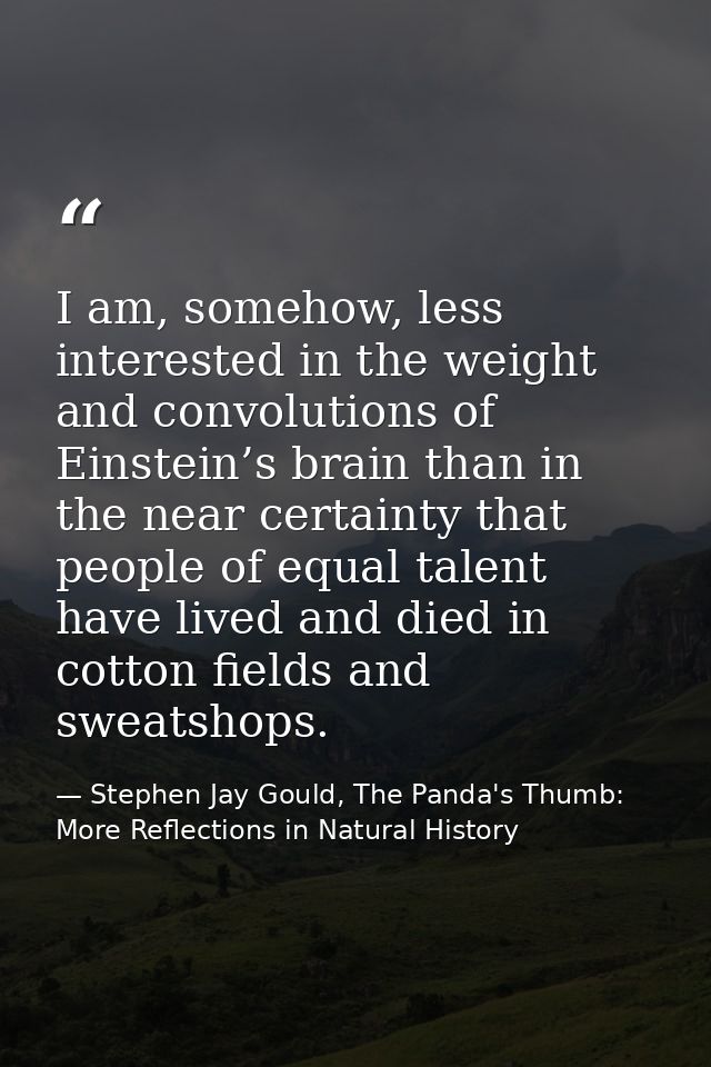 I am, somehow, less interested in the weight and convolutions of Einstein’s brain than in the near certainty that people — Stephen Jay Gould, The Panda's Thumb: More Reflections in Natural History