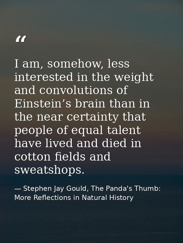 I am, somehow, less interested in the weight and convolutions of Einstein’s brain than in the near certainty that people — Stephen Jay Gould, The Panda's Thumb: More Reflections in Natural History