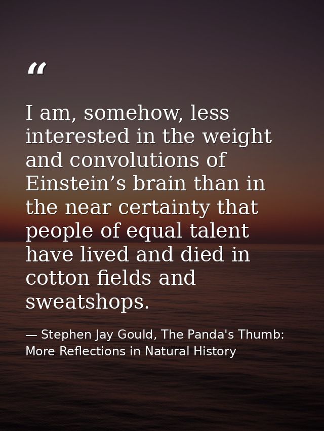 I am, somehow, less interested in the weight and convolutions of Einstein’s brain than in the near certainty that people — Stephen Jay Gould, The Panda's Thumb: More Reflections in Natural History