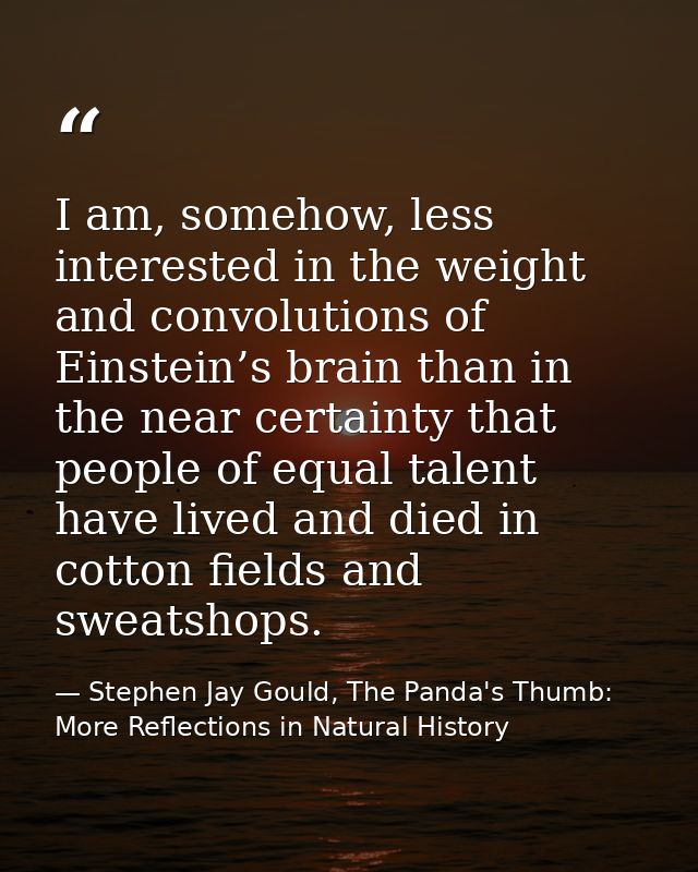 I am, somehow, less interested in the weight and convolutions of Einstein’s brain than in the near certainty that people — Stephen Jay Gould, The Panda's Thumb: More Reflections in Natural History