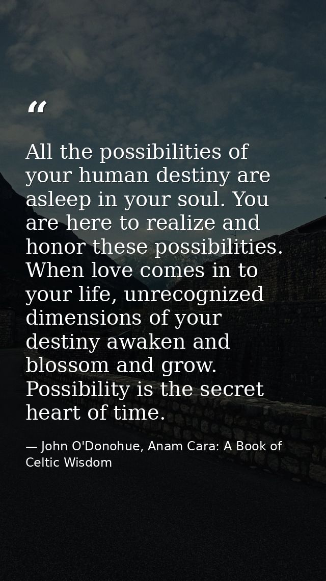 All the possibilities of your human destiny are asleep in your soul. You are here to realize and honor these possibiliti — John O'Donohue, Anam Cara: A Book of Celtic Wisdom