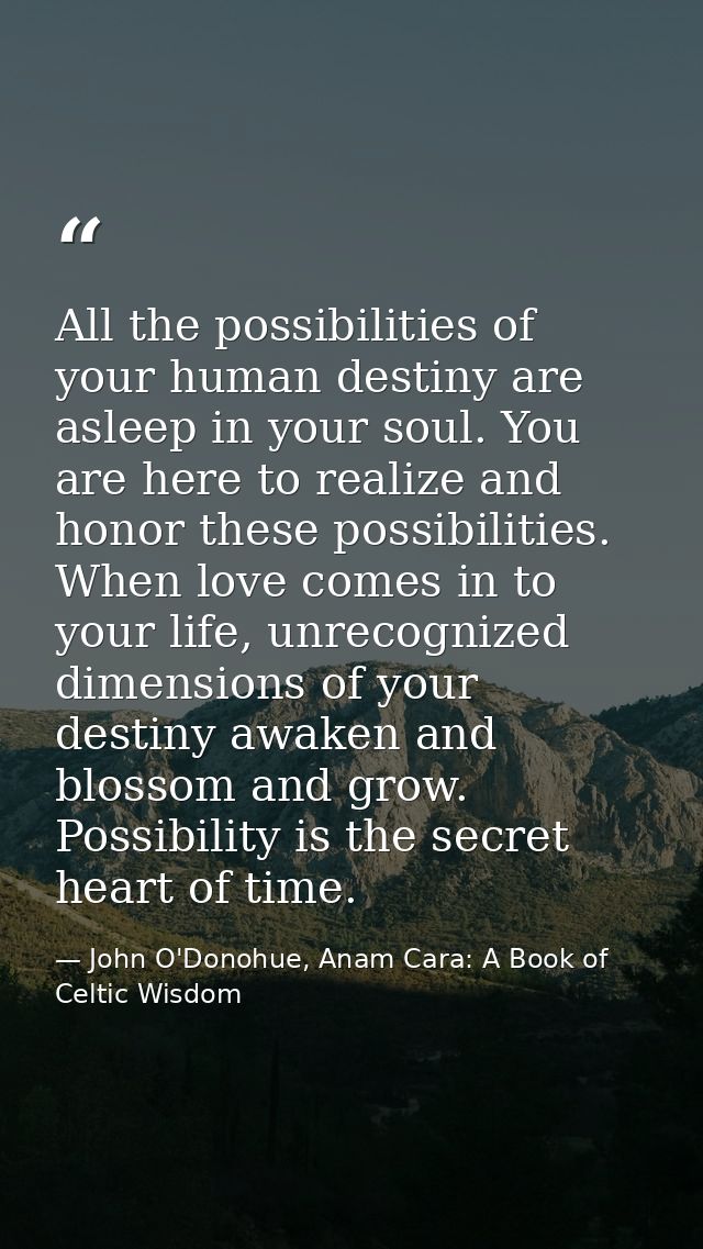 All the possibilities of your human destiny are asleep in your soul. You are here to realize and honor these possibiliti — John O'Donohue, Anam Cara: A Book of Celtic Wisdom
