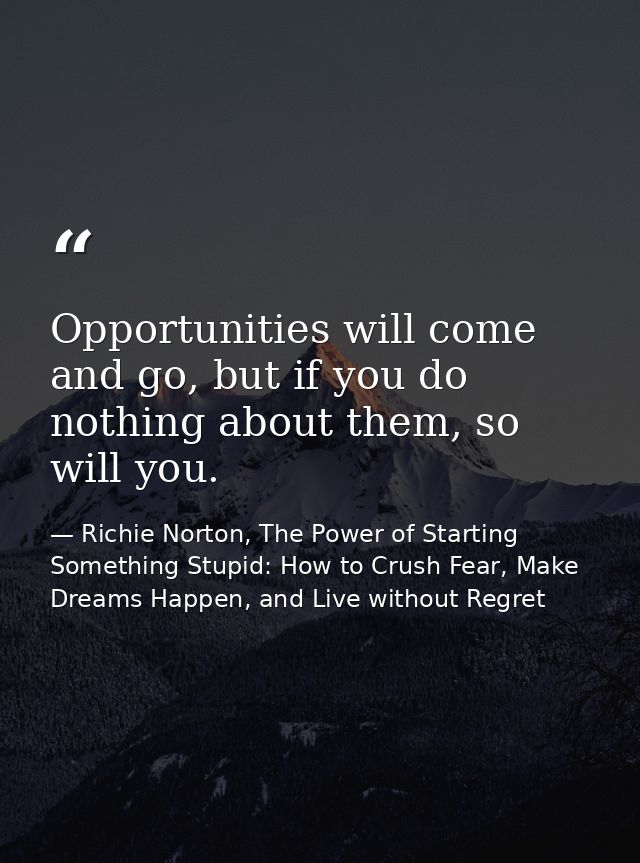 Opportunities will come and go, but if you do nothing about them, so will you. — Richie Norton, The Power of Starting Something Stupid: How to Crush Fear, Make Dreams Happen, and Live without Regret