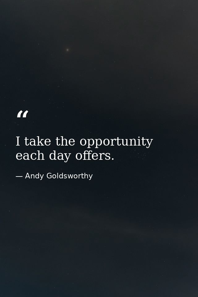 I take the opportunity each day offers. — Andy Goldsworthy