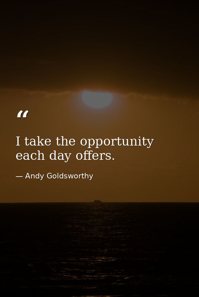 I take the opportunity each day offers. — Andy Goldsworthy