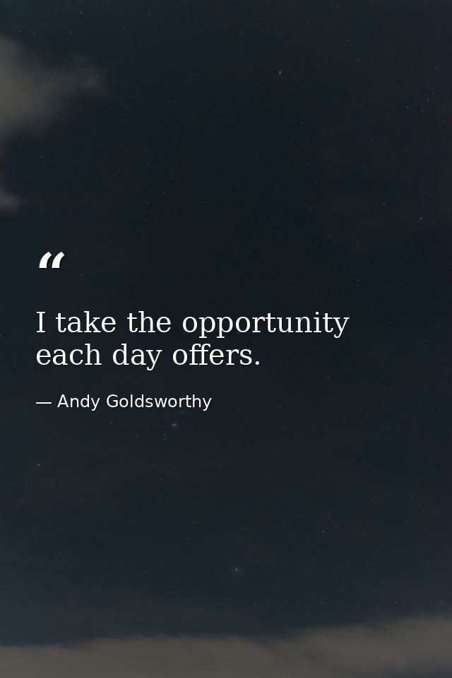I take the opportunity each day offers. — Andy Goldsworthy