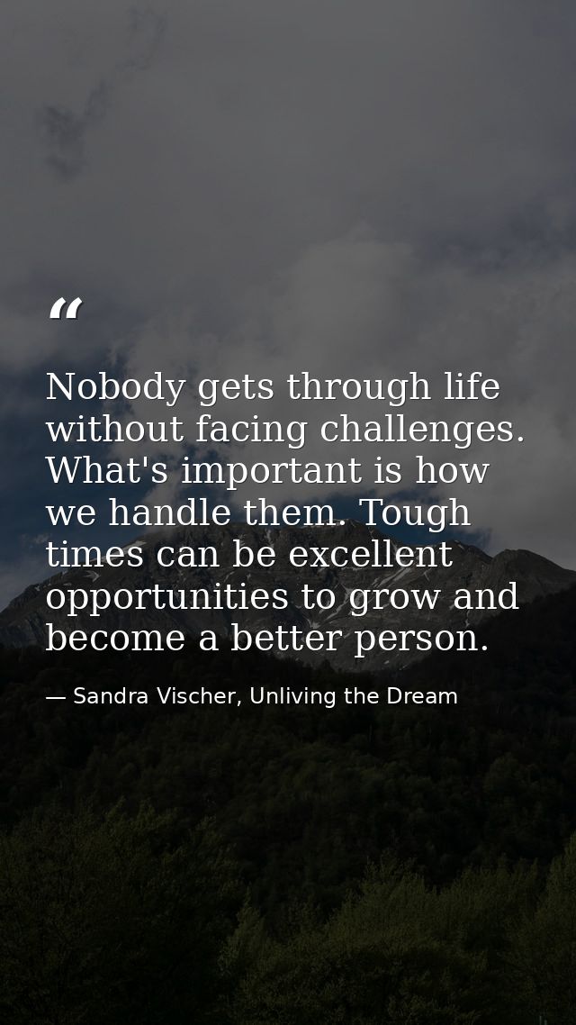 Nobody gets through life without facing challenges. What's important is how we handle them. Tough times can be excellent — Sandra Vischer, Unliving the Dream