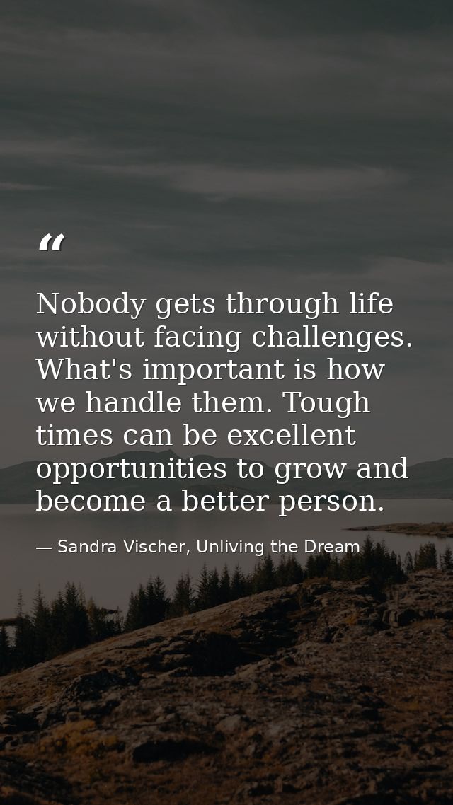 Nobody gets through life without facing challenges. What's important is how we handle them. Tough times can be excellent — Sandra Vischer, Unliving the Dream