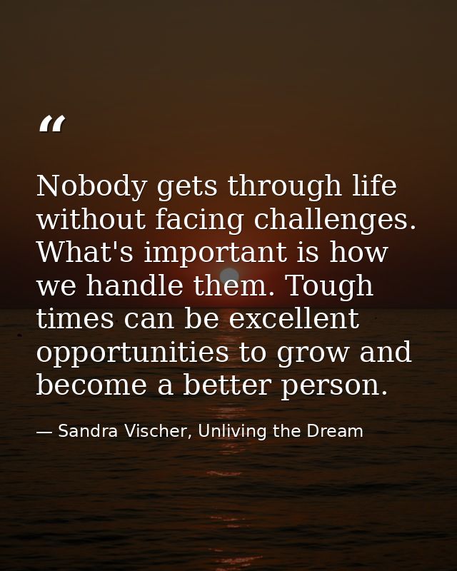 Nobody gets through life without facing challenges. What's important is how we handle them. Tough times can be excellent — Sandra Vischer, Unliving the Dream