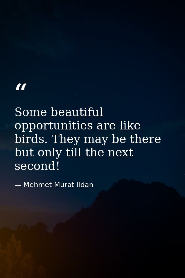 Some beautiful opportunities are like birds. They may be there but only till the next second! — Mehmet Murat ildan