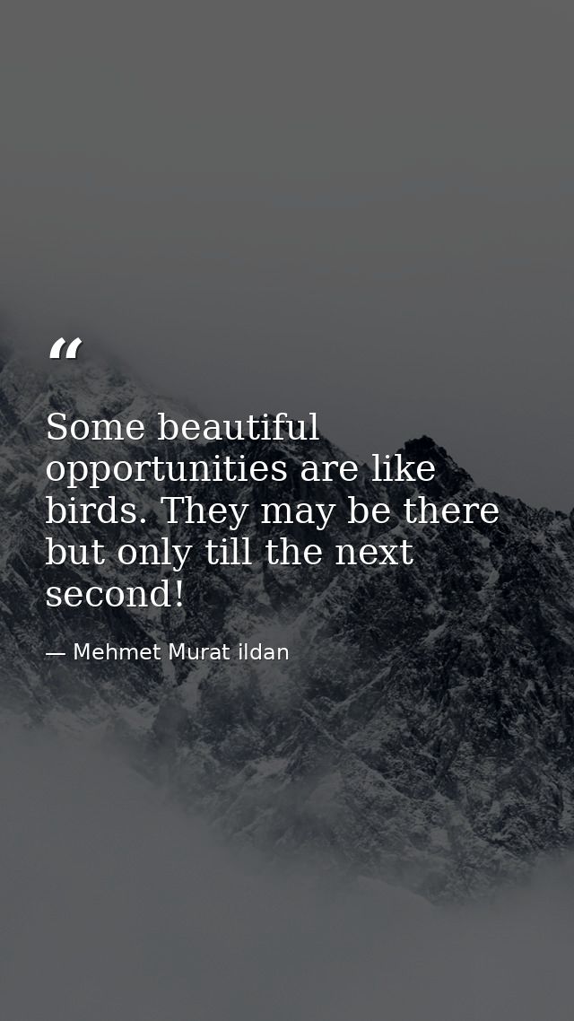 Some beautiful opportunities are like birds. They may be there but only till the next second! — Mehmet Murat ildan