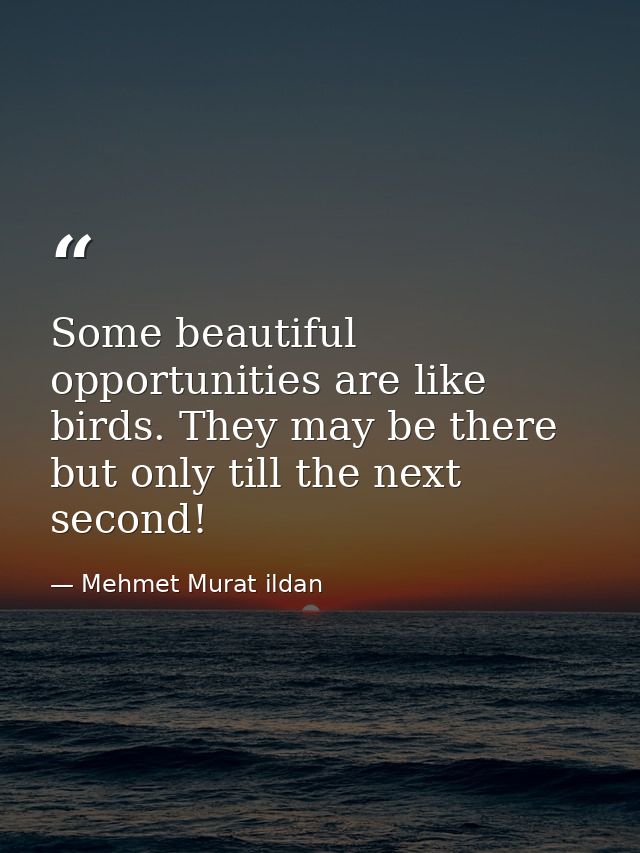 Some beautiful opportunities are like birds. They may be there but only till the next second! — Mehmet Murat ildan