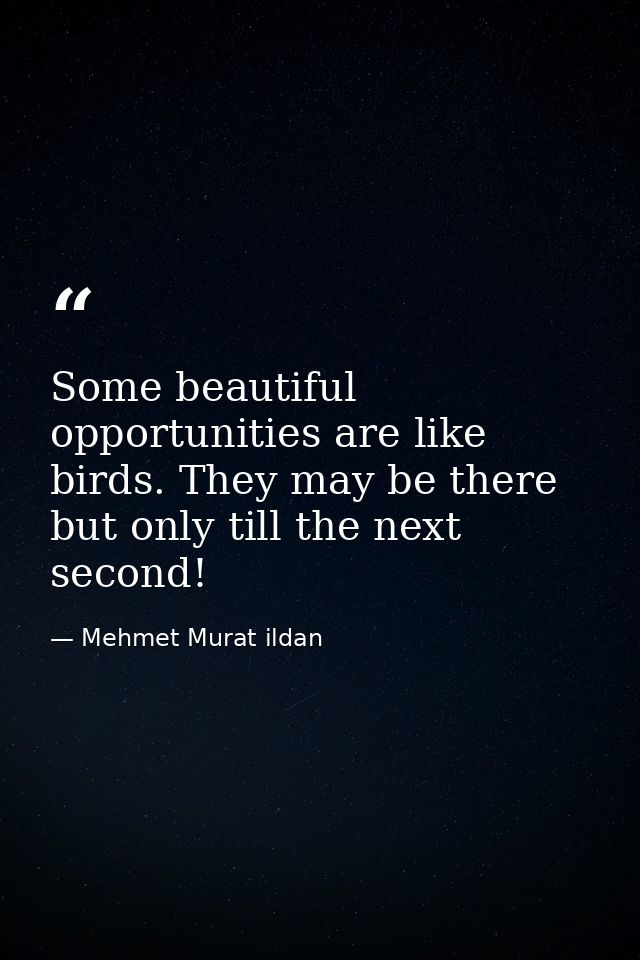 Some beautiful opportunities are like birds. They may be there but only till the next second! — Mehmet Murat ildan