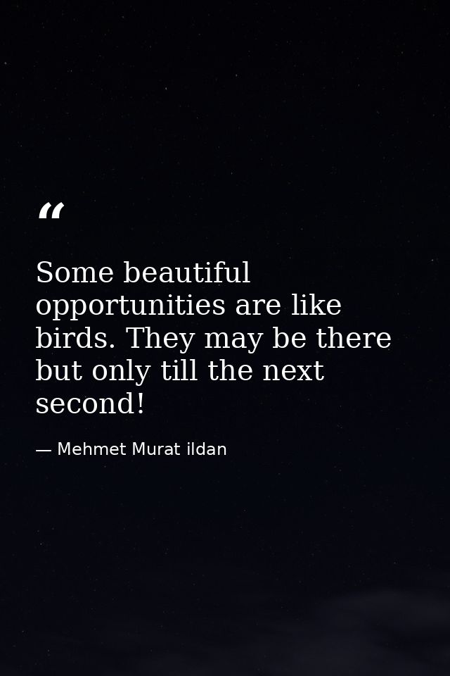 Some beautiful opportunities are like birds. They may be there but only till the next second! — Mehmet Murat ildan