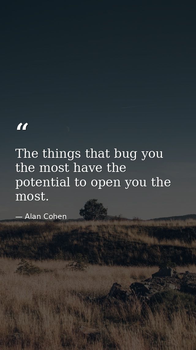 The things that bug you the most have the potential to open you the most. — Alan Cohen