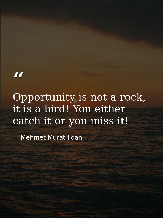 Opportunity is not a rock, it is a bird! You either catch it or you miss it! — Mehmet Murat ildan