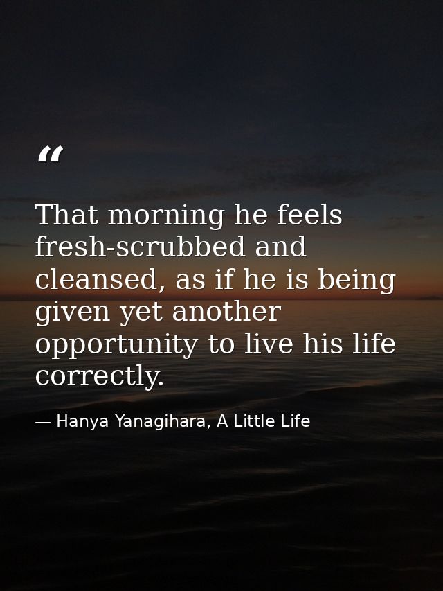 That morning he feels fresh-scrubbed and cleansed, as if he is being given yet another opportunity to live his life corr — Hanya Yanagihara, A Little Life