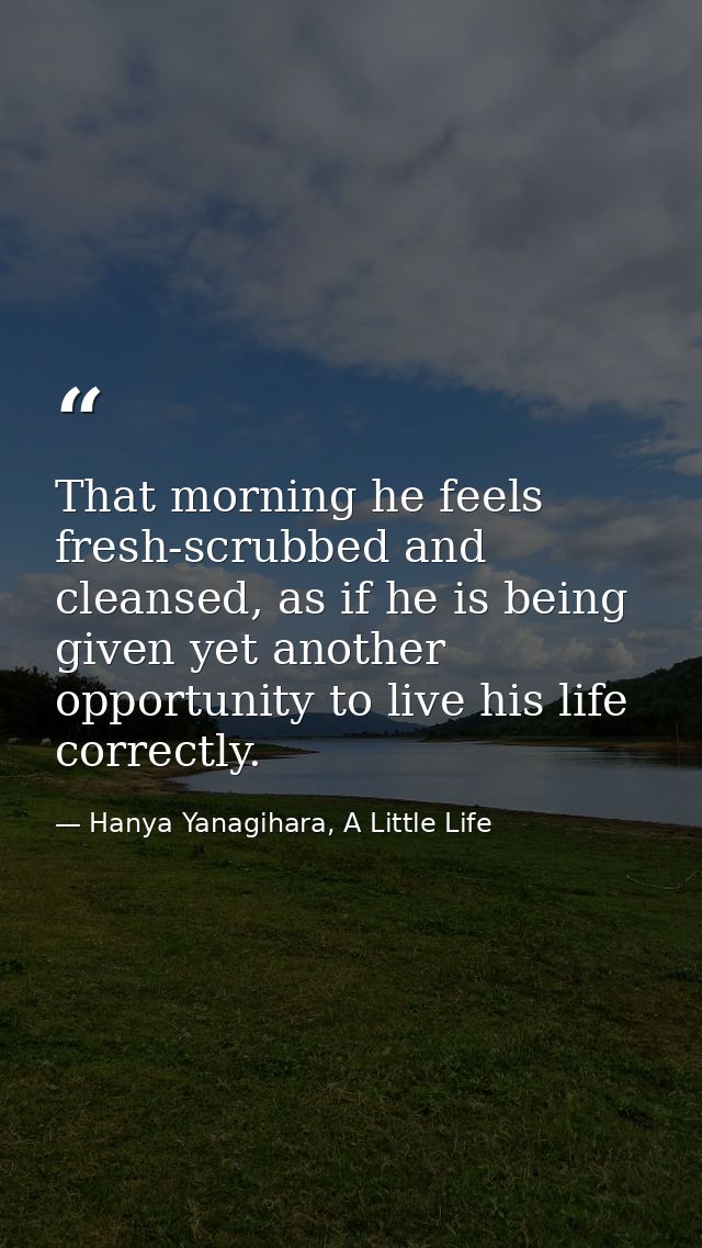 That morning he feels fresh-scrubbed and cleansed, as if he is being given yet another opportunity to live his life corr — Hanya Yanagihara, A Little Life