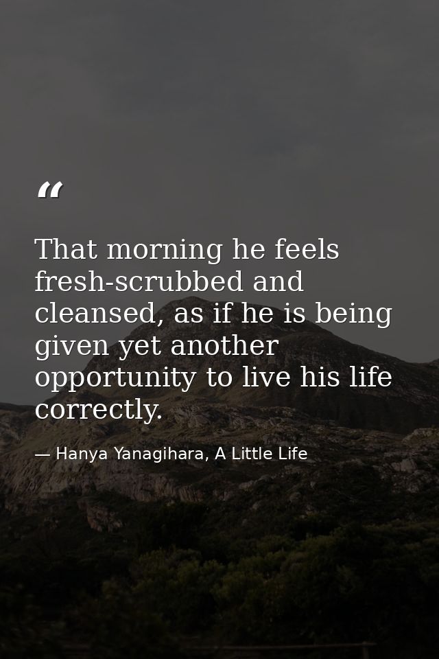 That morning he feels fresh-scrubbed and cleansed, as if he is being given yet another opportunity to live his life corr — Hanya Yanagihara, A Little Life