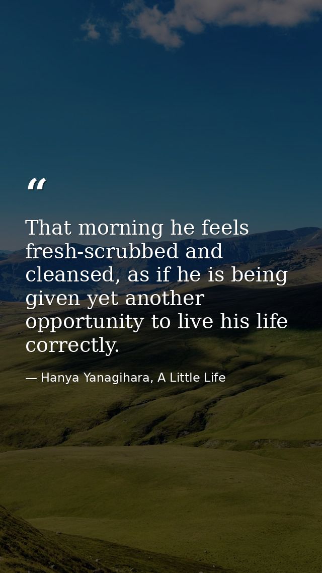 That morning he feels fresh-scrubbed and cleansed, as if he is being given yet another opportunity to live his life corr — Hanya Yanagihara, A Little Life