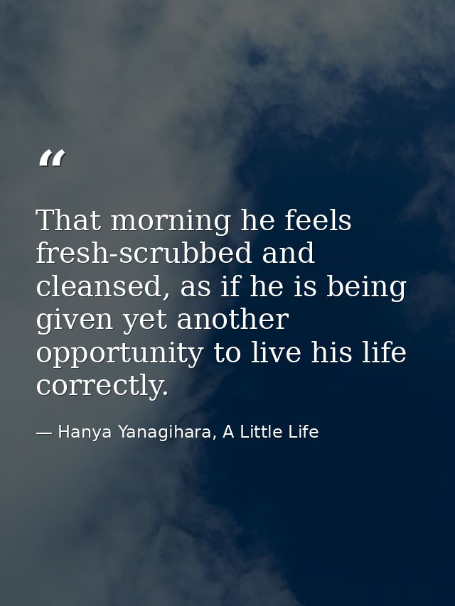 That morning he feels fresh-scrubbed and cleansed, as if he is being given yet another opportunity to live his life corr — Hanya Yanagihara, A Little Life
