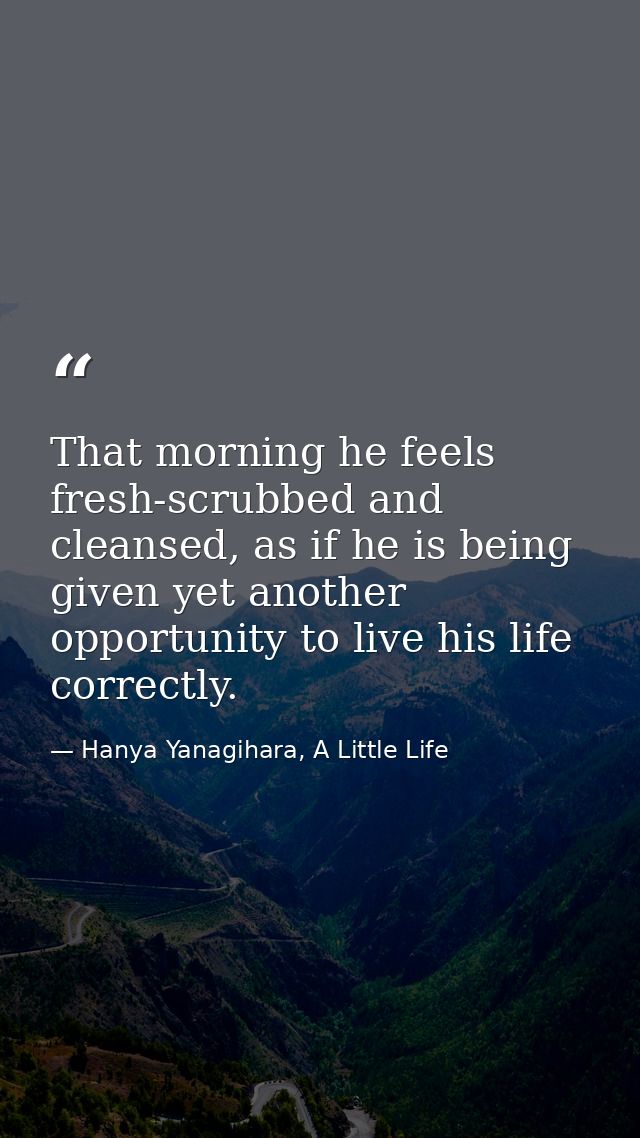 That morning he feels fresh-scrubbed and cleansed, as if he is being given yet another opportunity to live his life corr — Hanya Yanagihara, A Little Life