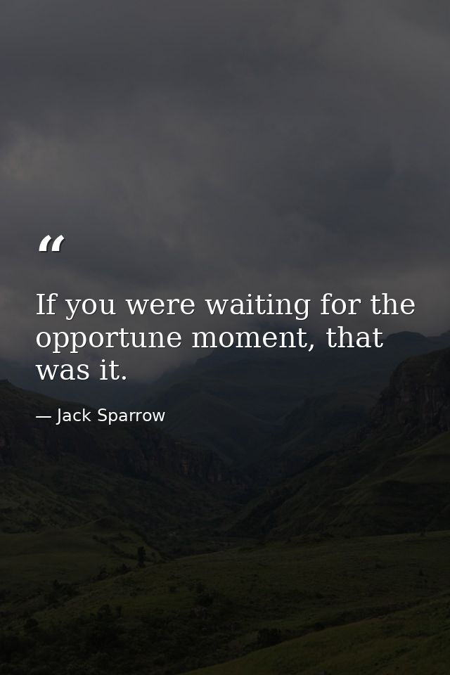If you were waiting for the opportune moment, that was it. — Jack Sparrow