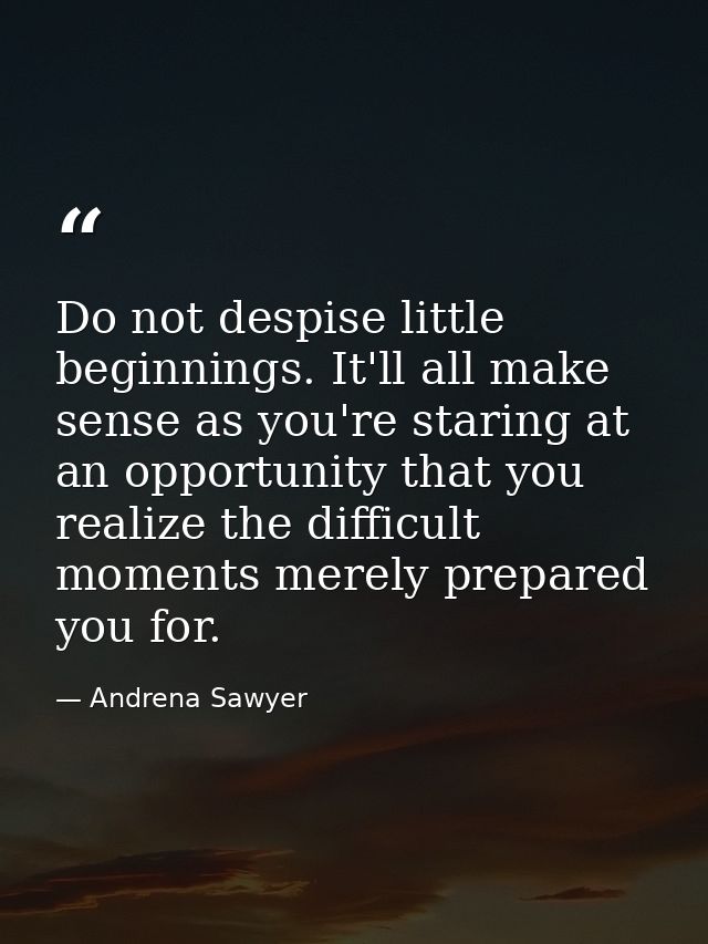 Do not despise little beginnings. It'll all make sense as you're staring at an opportunity that you realize the difficul — Andrena Sawyer
