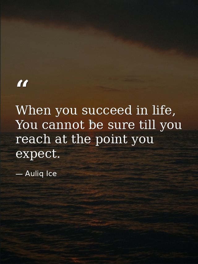 When you succeed in life, You cannot be sure till you reach at the point you expect. — Auliq Ice