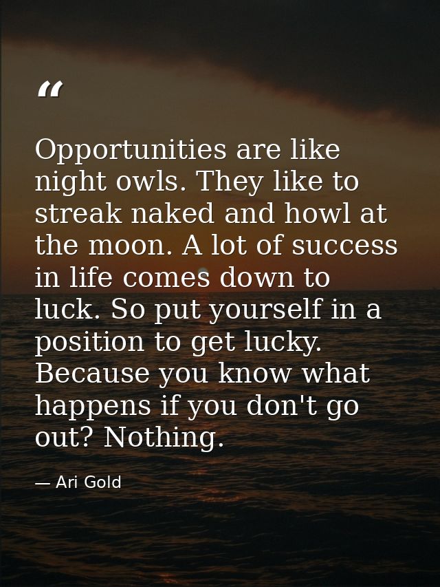 Opportunities are like night owls. They like to streak naked and howl at the moon. A lot of success in life comes down t — Ari Gold