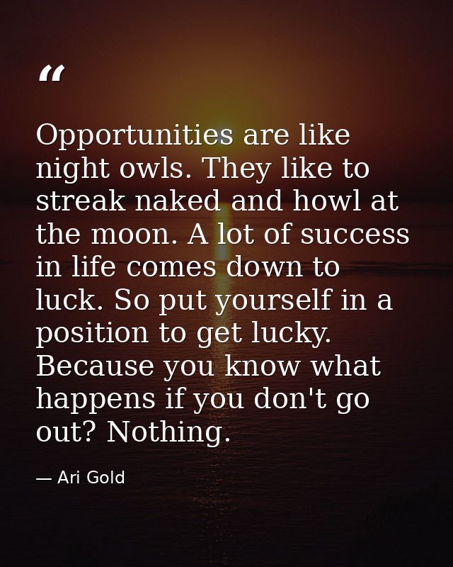 Opportunities are like night owls. They like to streak naked and howl at the moon. A lot of success in life comes down t — Ari Gold