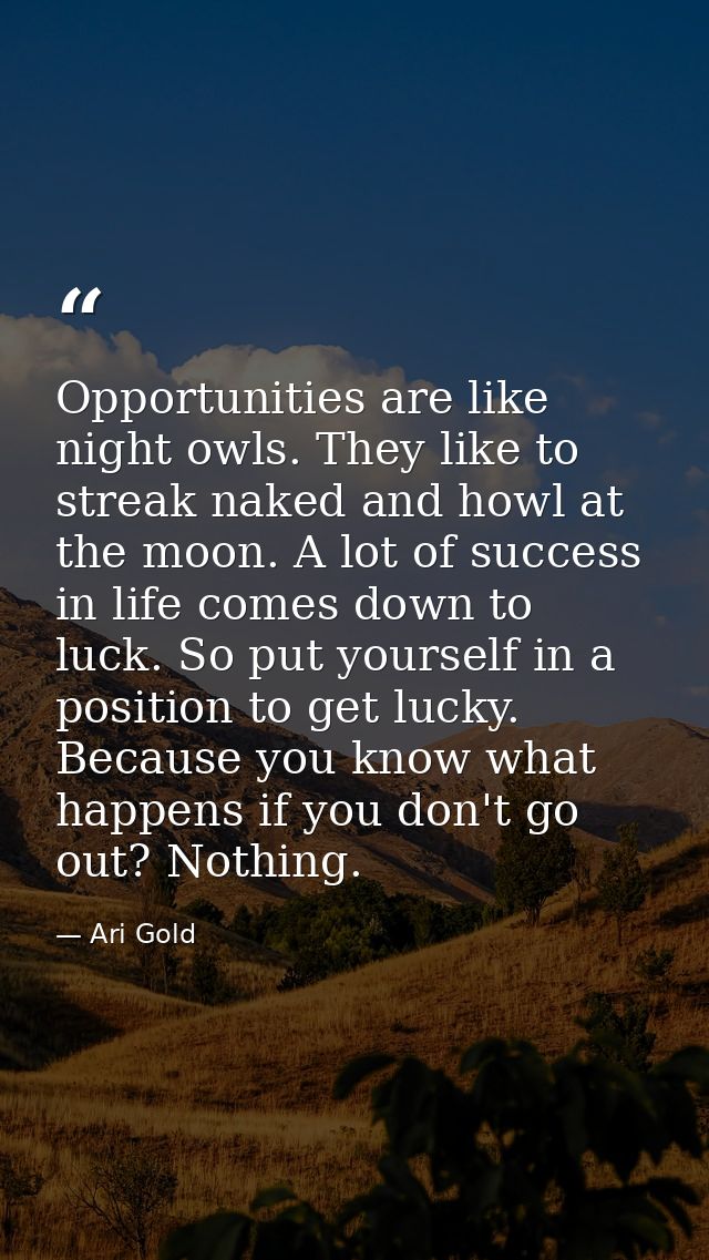 Opportunities are like night owls. They like to streak naked and howl at the moon. A lot of success in life comes down t — Ari Gold