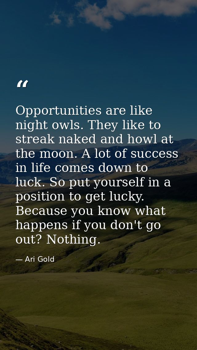 Opportunities are like night owls. They like to streak naked and howl at the moon. A lot of success in life comes down t — Ari Gold