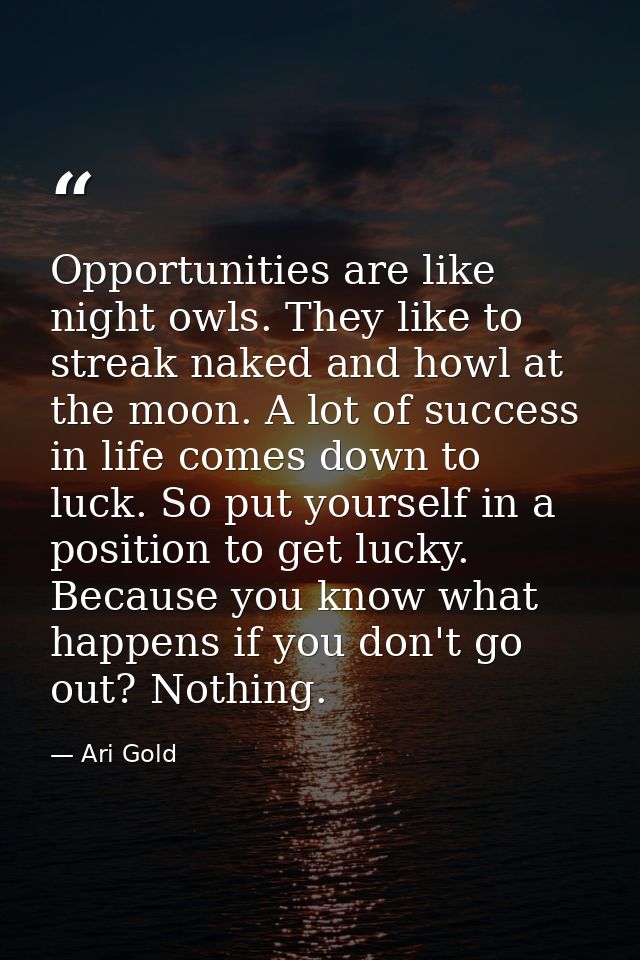 Opportunities are like night owls. They like to streak naked and howl at the moon. A lot of success in life comes down t — Ari Gold