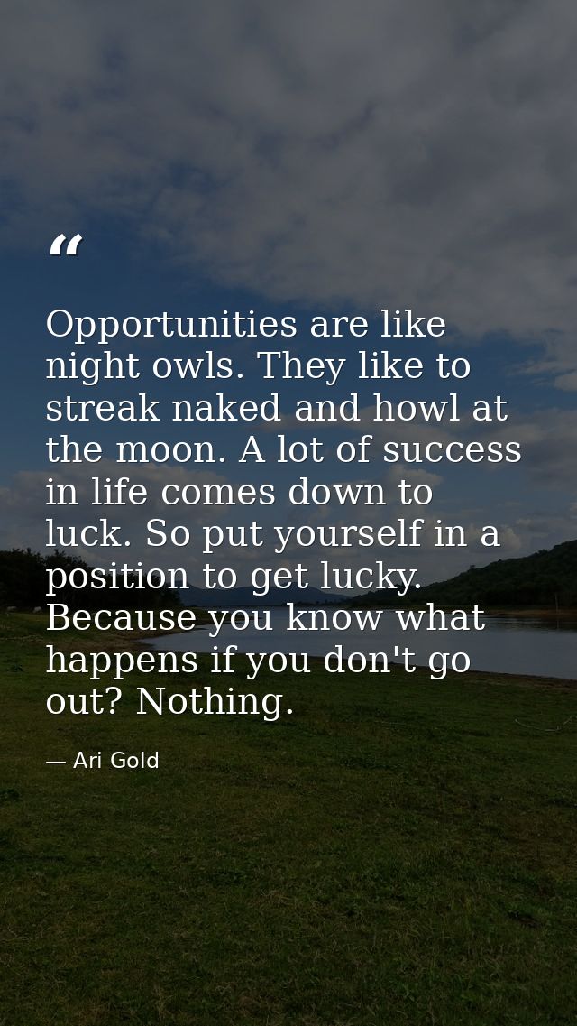 Opportunities are like night owls. They like to streak naked and howl at the moon. A lot of success in life comes down t — Ari Gold