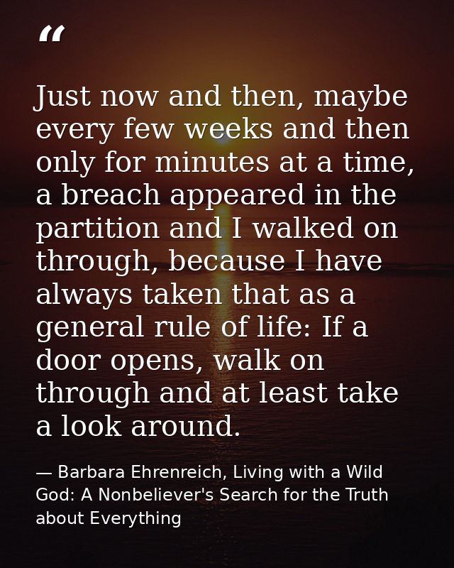 Just now and then, maybe every few weeks and then only for minutes at a time, a breach appeared in the partition and I w — Barbara Ehrenreich, Living with a Wild God: A Nonbeliever's Search for the Truth about Everything