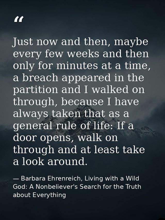 Just now and then, maybe every few weeks and then only for minutes at a time, a breach appeared in the partition and I w — Barbara Ehrenreich, Living with a Wild God: A Nonbeliever's Search for the Truth about Everything