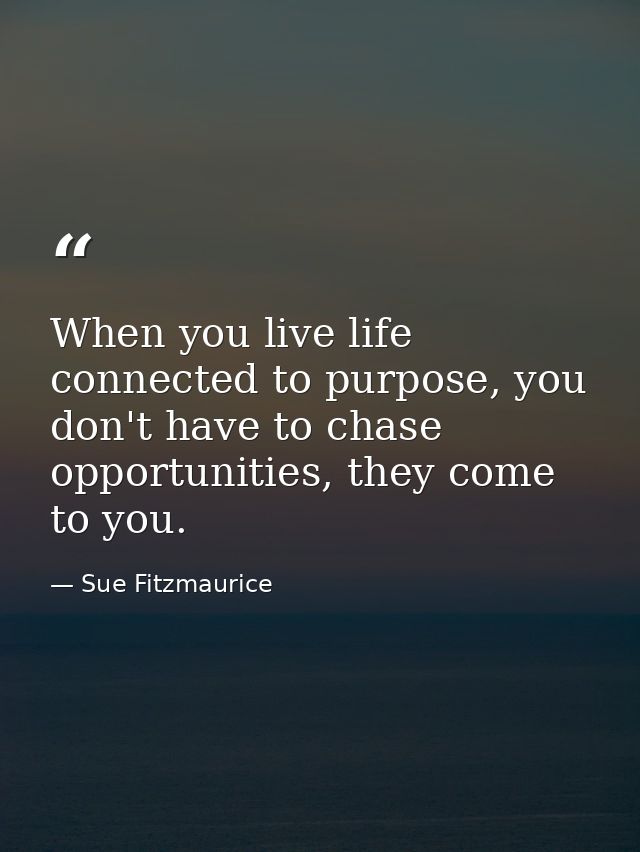 When you live life connected to purpose, you don't have to chase opportunities, they come to you. — Sue Fitzmaurice