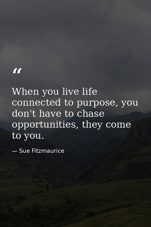 When you live life connected to purpose, you don't have to chase opportunities, they come to you. — Sue Fitzmaurice
