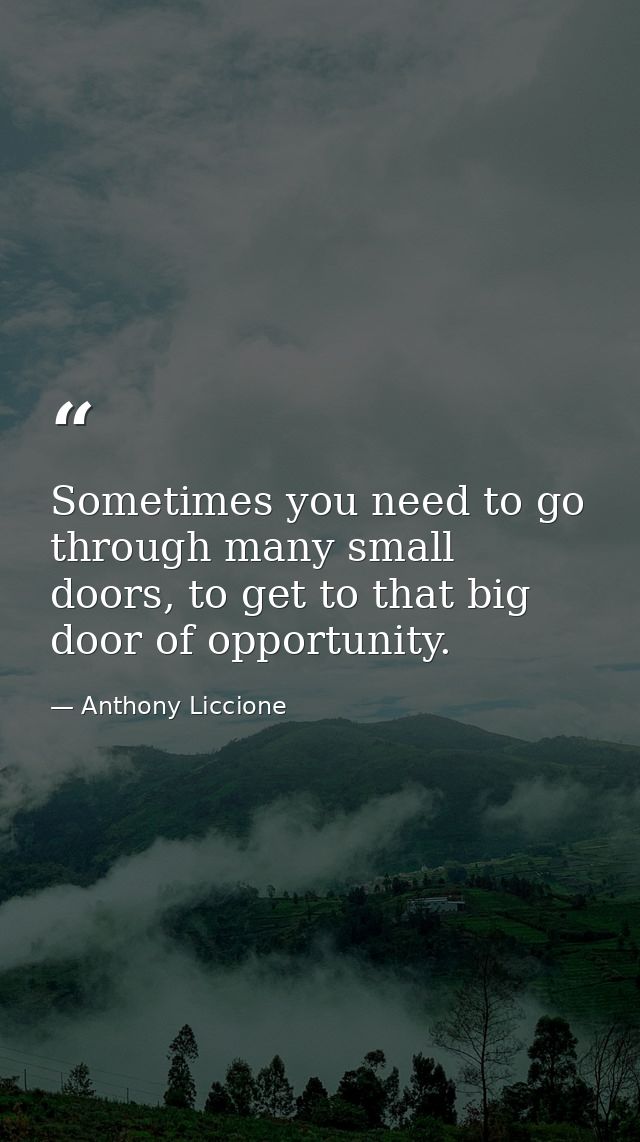 Sometimes you need to go through many small doors, to get to that big door of opportunity. — Anthony Liccione