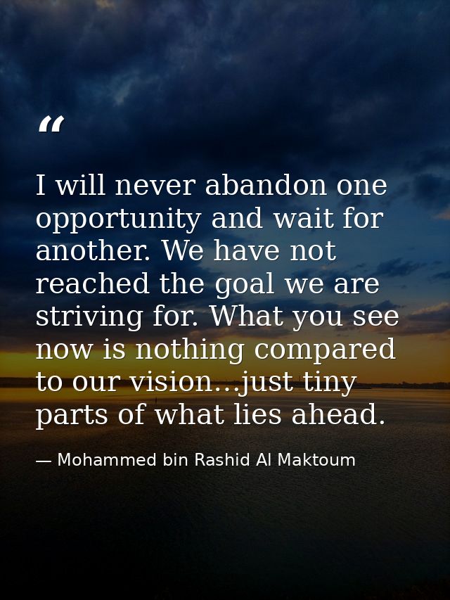I will never abandon one opportunity and wait for another. We have not reached the goal we are striving for. What you se — Mohammed bin Rashid Al Maktoum