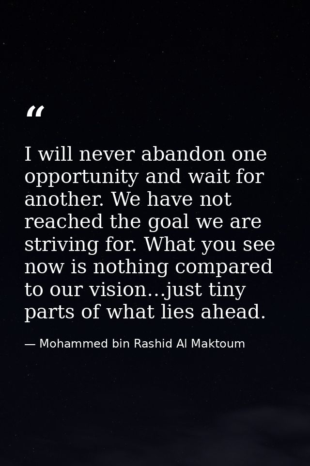 I will never abandon one opportunity and wait for another. We have not reached the goal we are striving for. What you se — Mohammed bin Rashid Al Maktoum