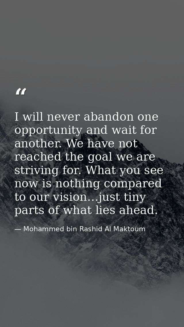 I will never abandon one opportunity and wait for another. We have not reached the goal we are striving for. What you se — Mohammed bin Rashid Al Maktoum