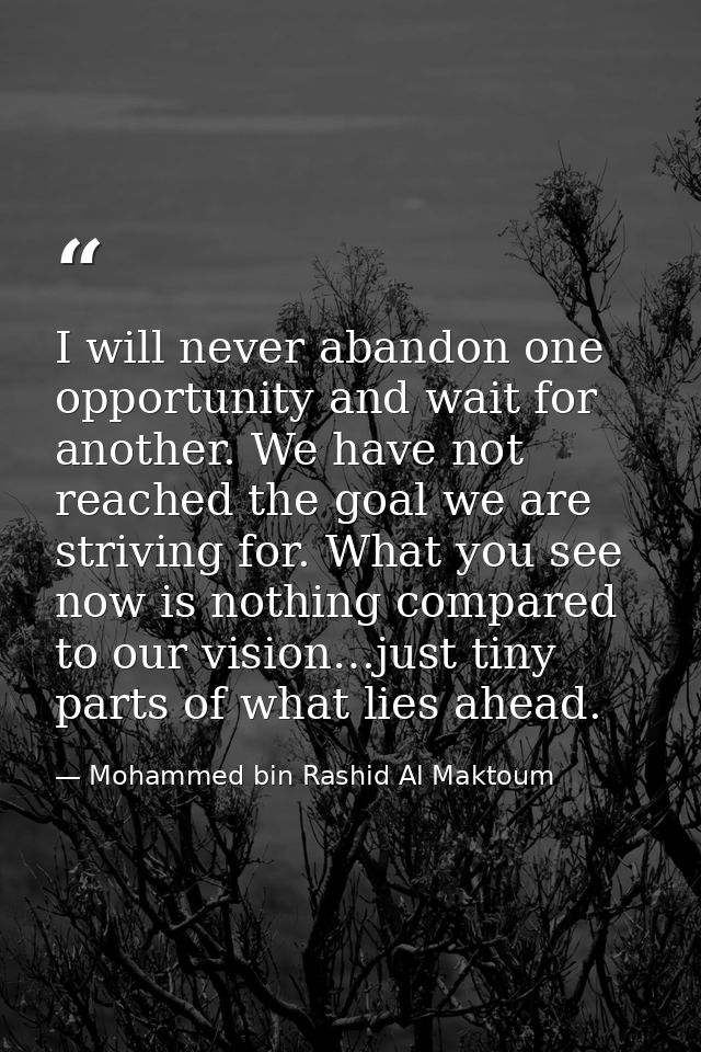I will never abandon one opportunity and wait for another. We have not reached the goal we are striving for. What you se — Mohammed bin Rashid Al Maktoum