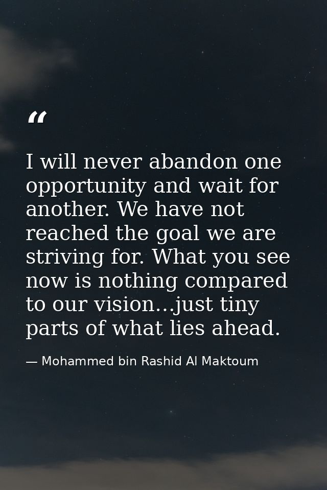 I will never abandon one opportunity and wait for another. We have not reached the goal we are striving for. What you se — Mohammed bin Rashid Al Maktoum